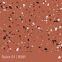 csm_chips_20_299a13c31b